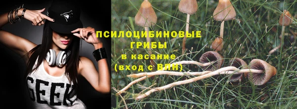 крисы Туринск
