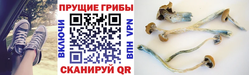 Галлюциногенные грибы MAGIC MUSHROOMS  Хадыженск 